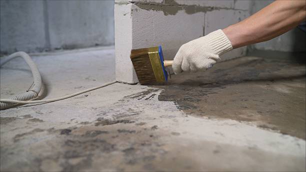 Top rated local Crawl Space Encapsulation specialists in Hesston, KS